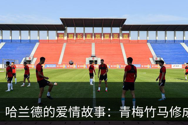 哈兰德的爱情故事：青梅竹马修成正果 女友主动追求他