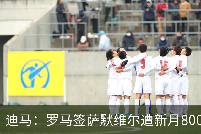 迪马：罗马签萨默维尔遭新月8000万欧截胡 目标转向努萨等人